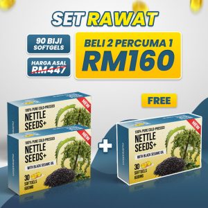 Nettle Seeds Plus 3 Kotak